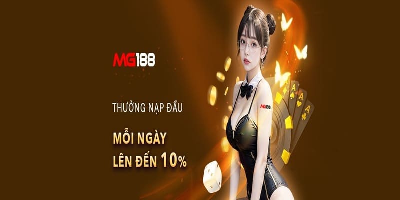 điều khoản sử dụng